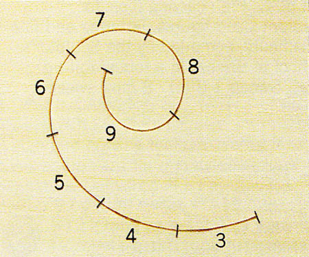 La curvatura del tagliente è definita da un numero progressivo da 2 a 11, dove 2 è un tagliente praticamente piano-artedelrestauro.it