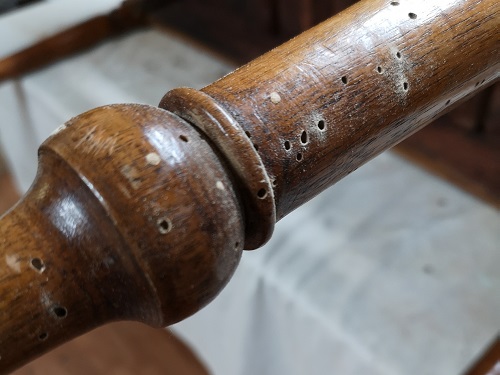 Il tarlo nei mobili antichi.