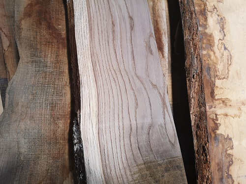 Come riconoscere una quercia: le tavole del legno.